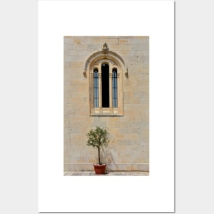 Olive Tree and Church Window Posters and Art